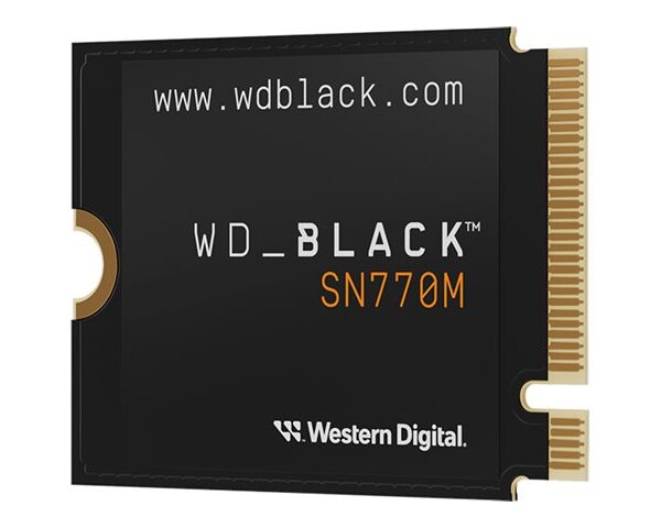 WD_BLACK SN770M WDS100T3X0G - SSD - 1 TB